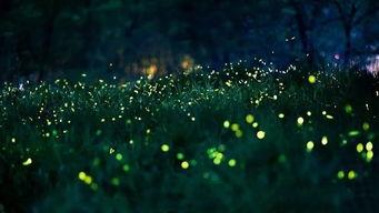 揉碎星光,探寻宇宙奥秘的璀璨旅程