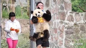 回到逃跑失败以后,失败后的反思与新生