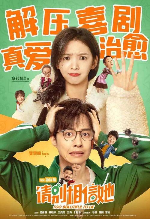 请别相信她 2004,揭秘2004年悬疑剧请别相信她背后的真相与谜团