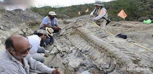 真龙出山惊于世,震惊世间，谱写传奇新篇章