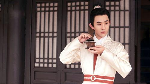 在下李佑,传奇人生，砥砺前行