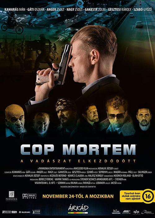 怒火警探,复仇之路，正义之剑